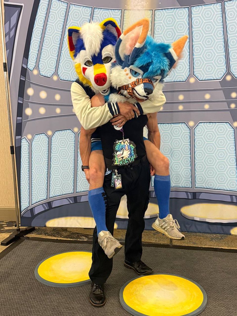 NORTH 🔜 FWA tweet media