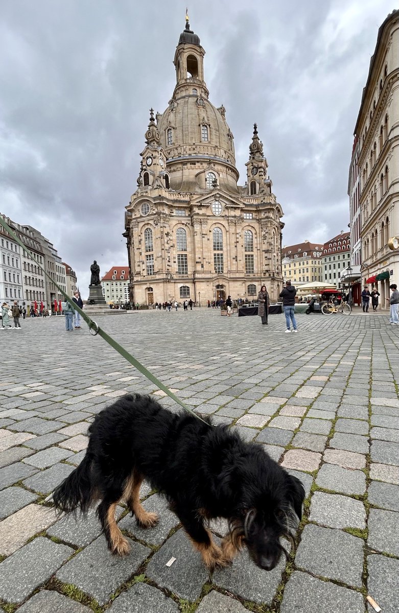 Hasnain Kazim tweet media