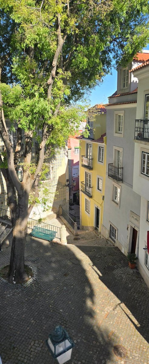 Ludovic Cruchot 🇮🇨 🇵🇹 tweet media