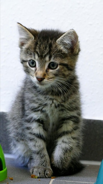 Daniel Mangum tweet media