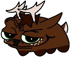 🦊shanti🦊 tweet media