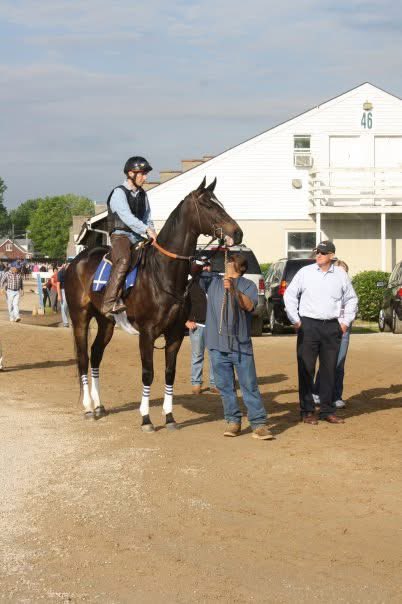 KFrnch's tweet image. Happy Birthday Zenyatta. Prior to work @ChurchillDowns RIP John #HorseRacing #Oneofakind 💜