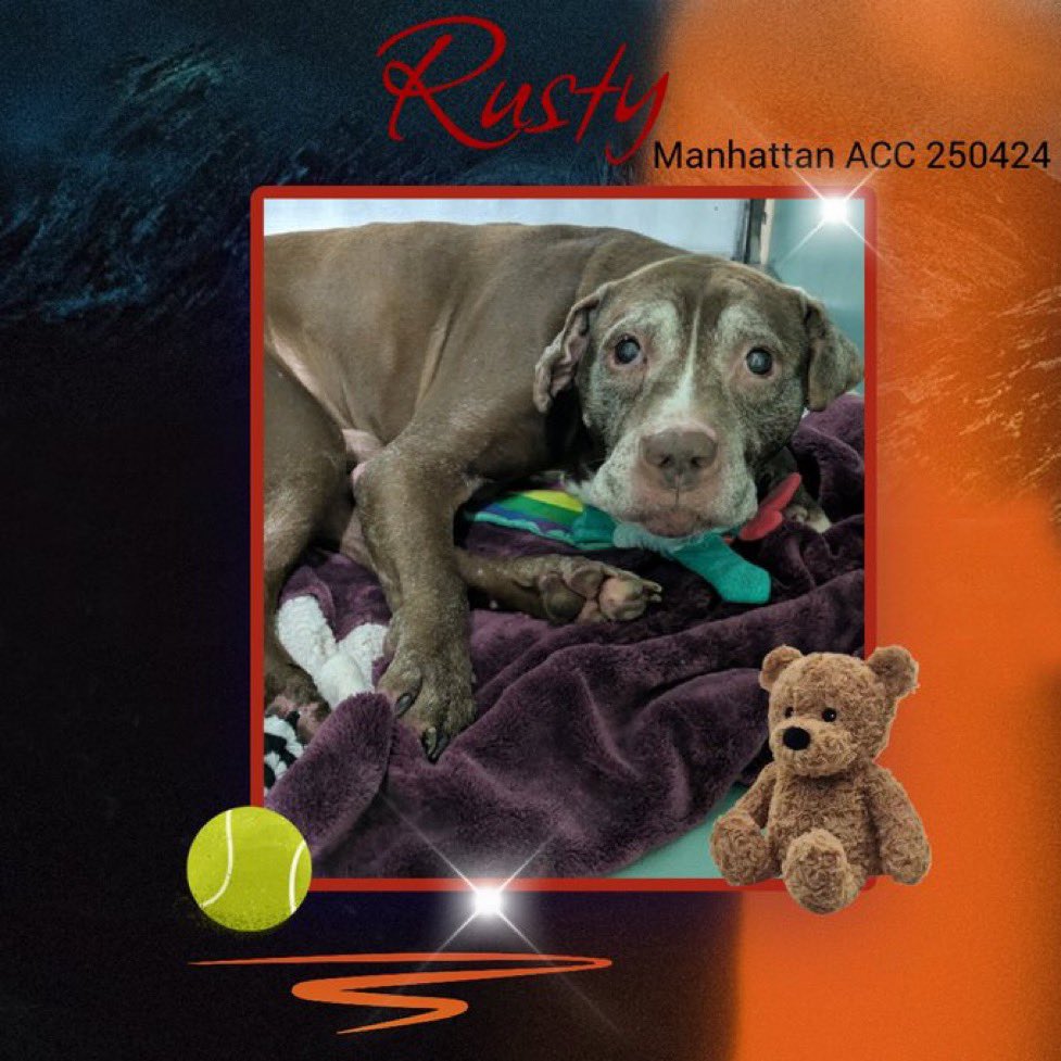 Moishe's Mom tweet media