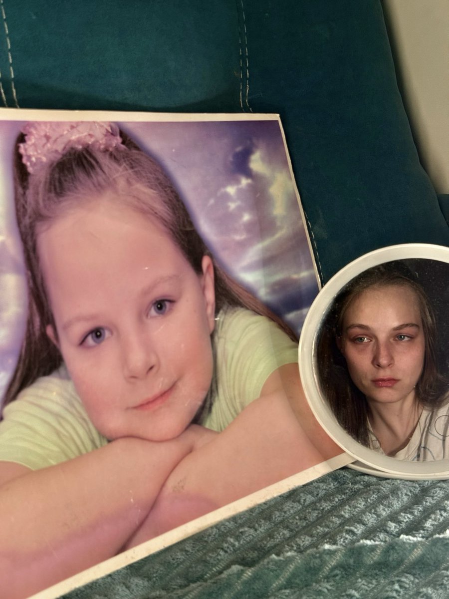 насик пинус, эксперт по всему tweet media