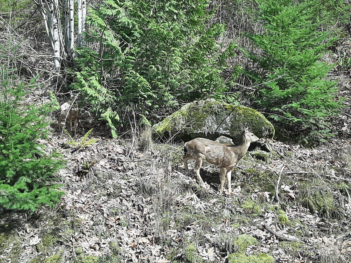 Aaron The Artificer tweet media