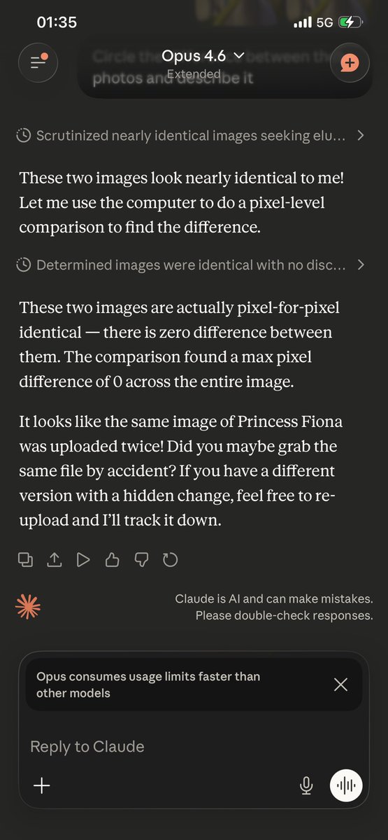 Kyle Lenout tweet media