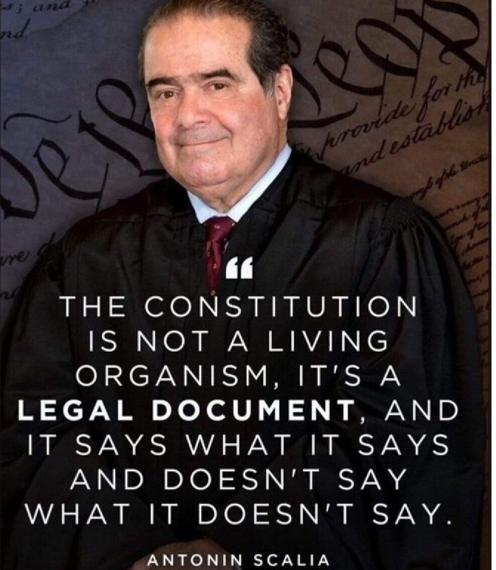 Wilhelmina tweet media