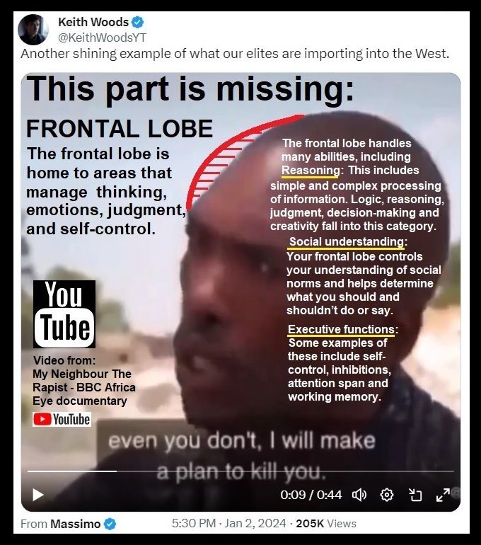 Paulie Penguins tweet media