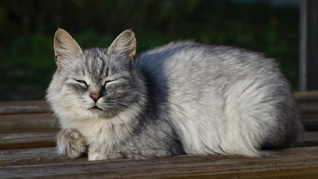 Michelle Wiley tweet media