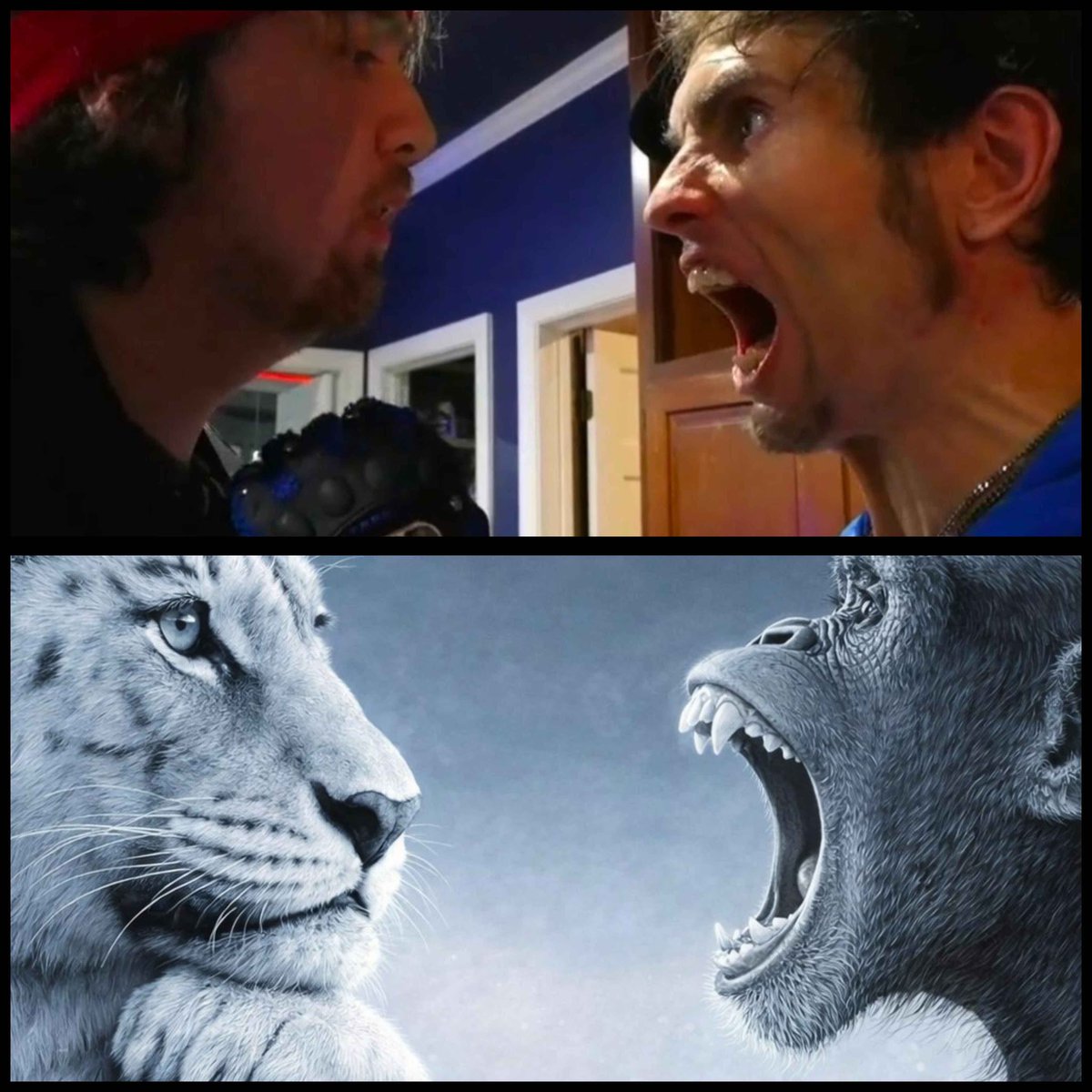 Jimmy Buck tweet media