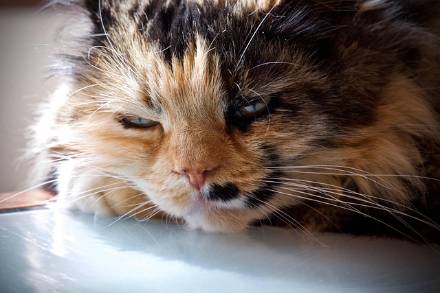 Deon Shop tweet media