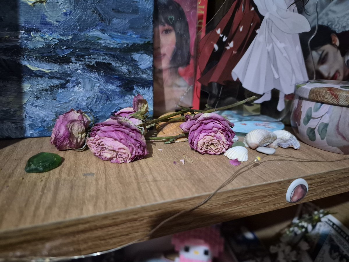 Ведьма.🐉🪼 tweet media