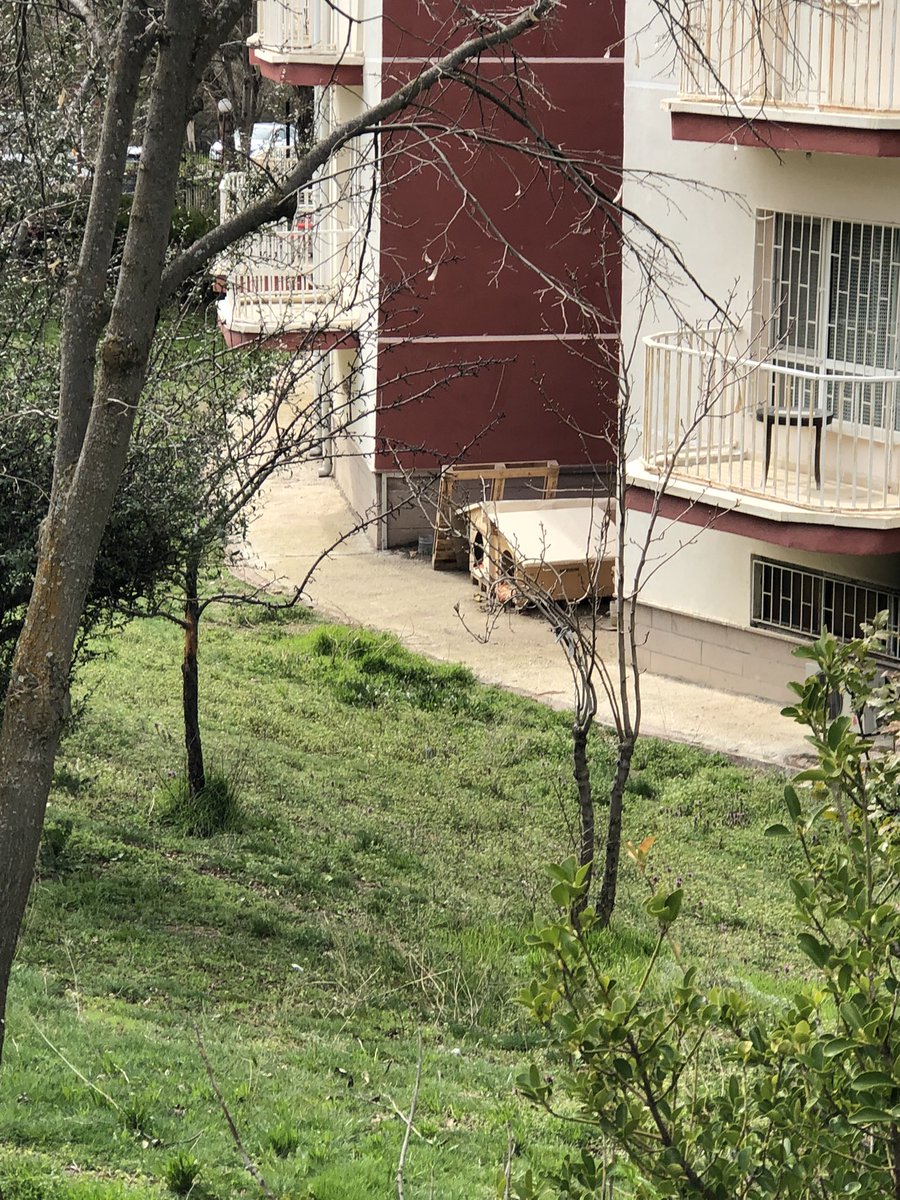 Koçovalı tweet media