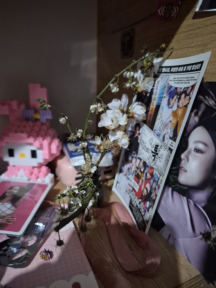 Ведьма.🐉🪼 tweet media