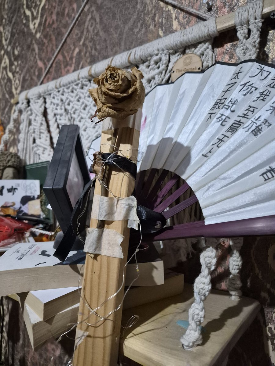 Ведьма.🐉🪼 tweet media