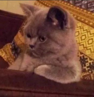 •°11:11°•°•°• tweet media