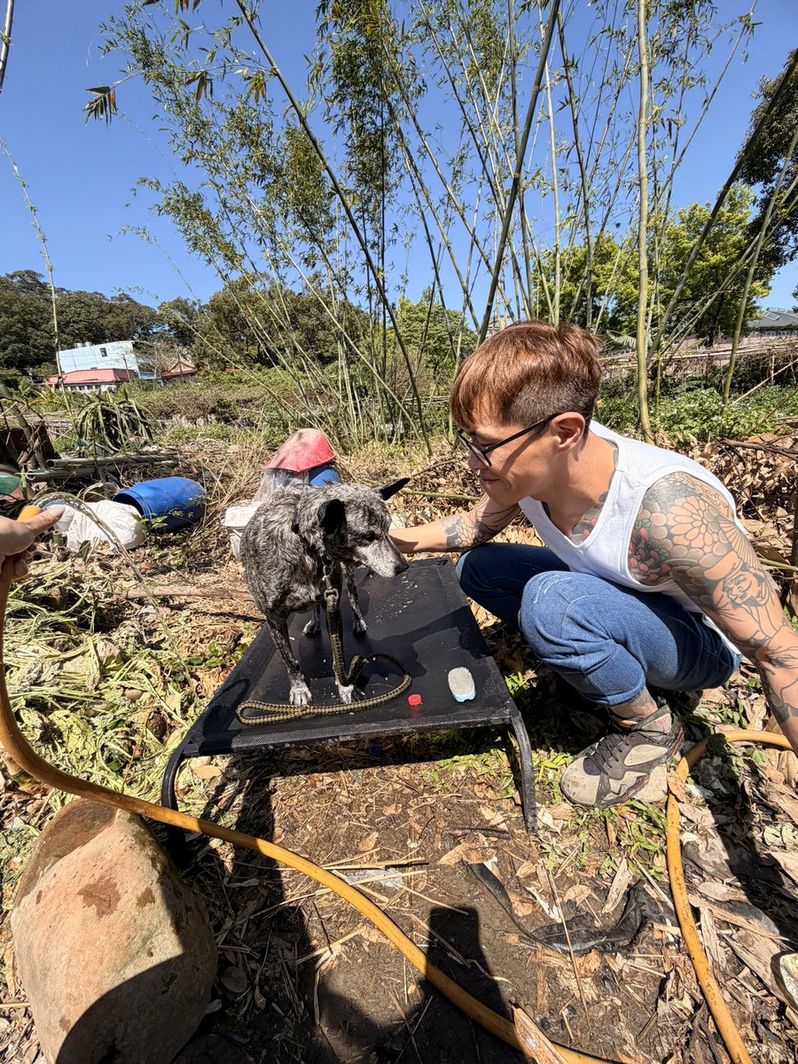 Bitch. Ariel tweet media