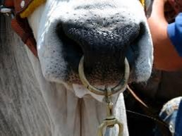 Graham Emery tweet media