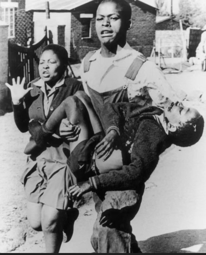 Voice of Igbos tweet media