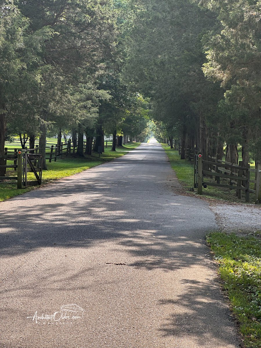 🏛Architectolder tweet media