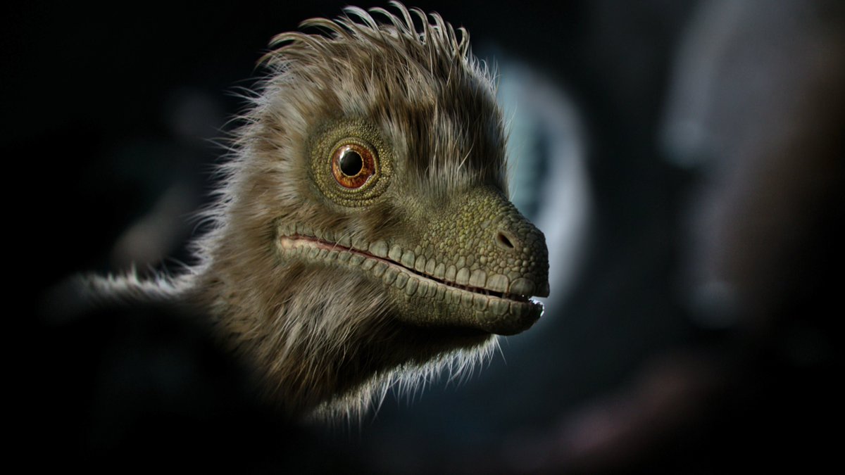 raftingzalmoxes's tweet image. #LifeOnOurPlanet #TheDinosaurs
The sole Marasuchus that survived is subtly different from its siblings in that it's the only individual with a messy 'hairstyle'.