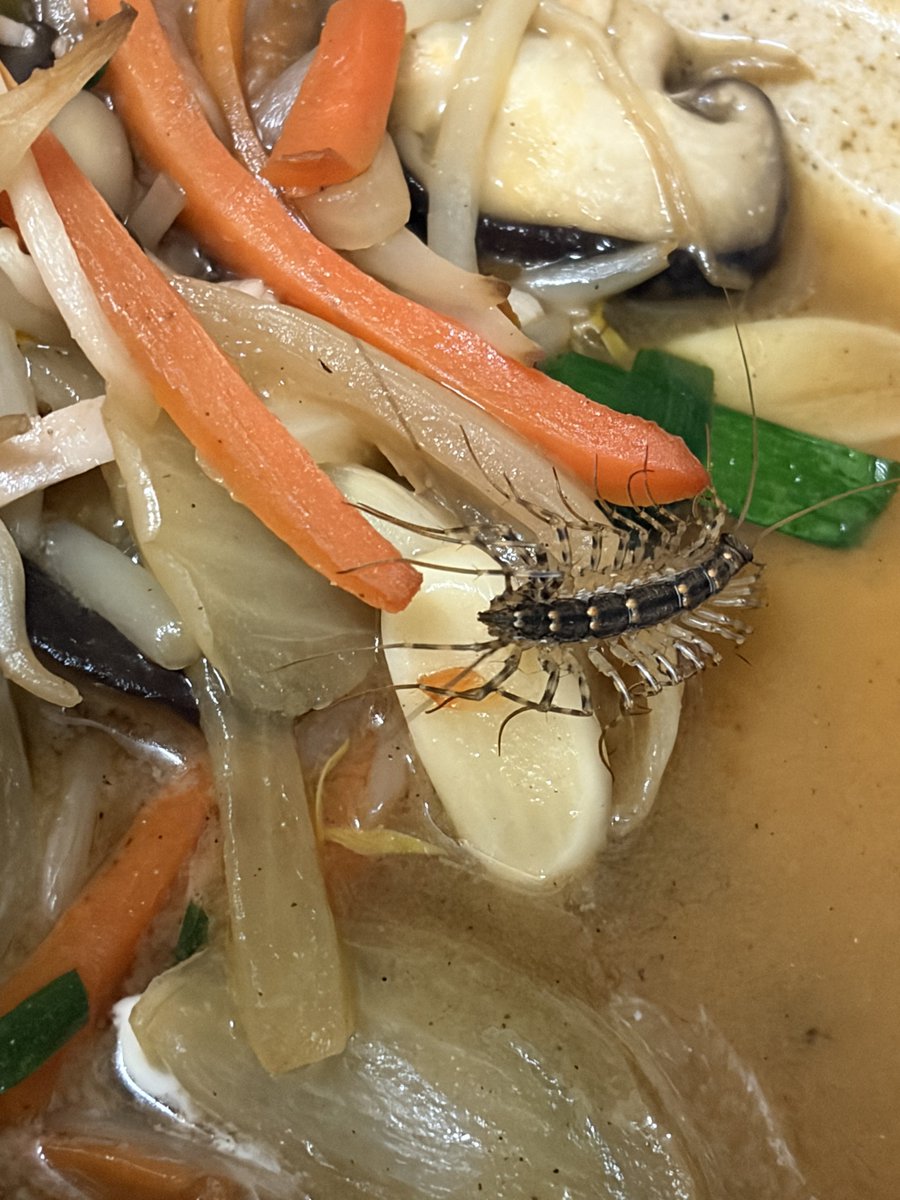 KАИАU tweet media