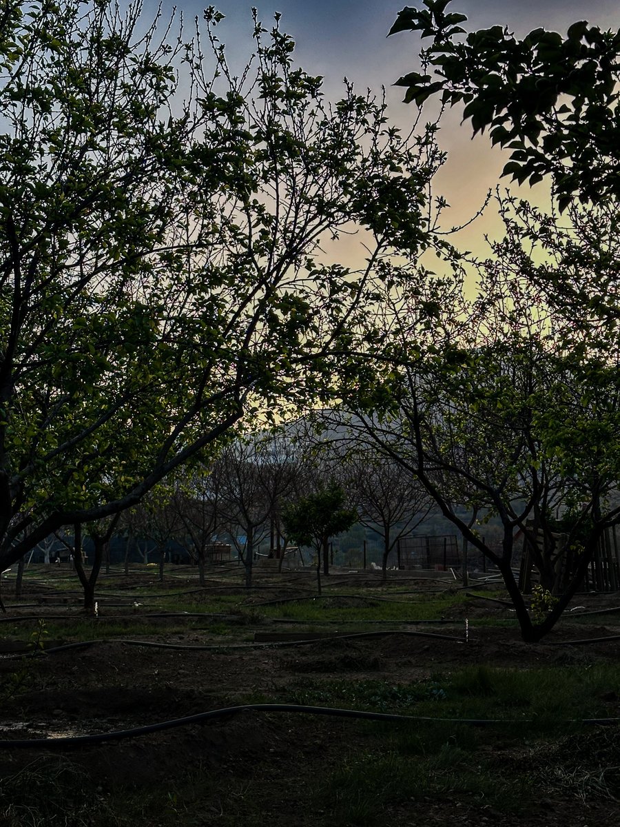 Abdul Latif bin Jory | عبداللطيف بن جعري tweet media