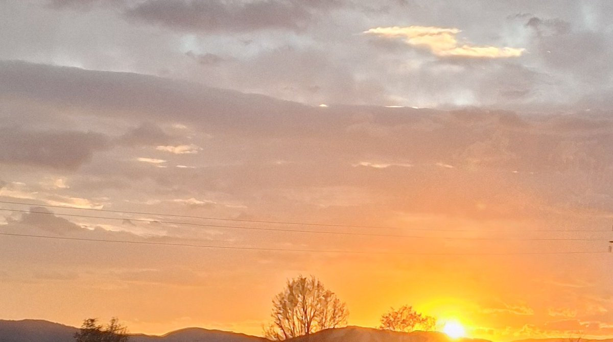 Elena🌹🇮🇹 tweet media