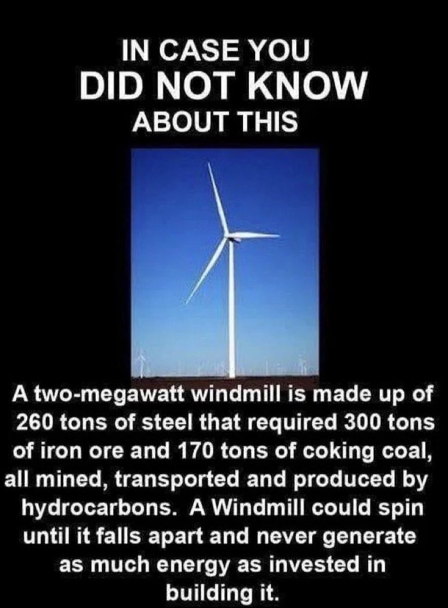 Gareth Hulse Morgan tweet media