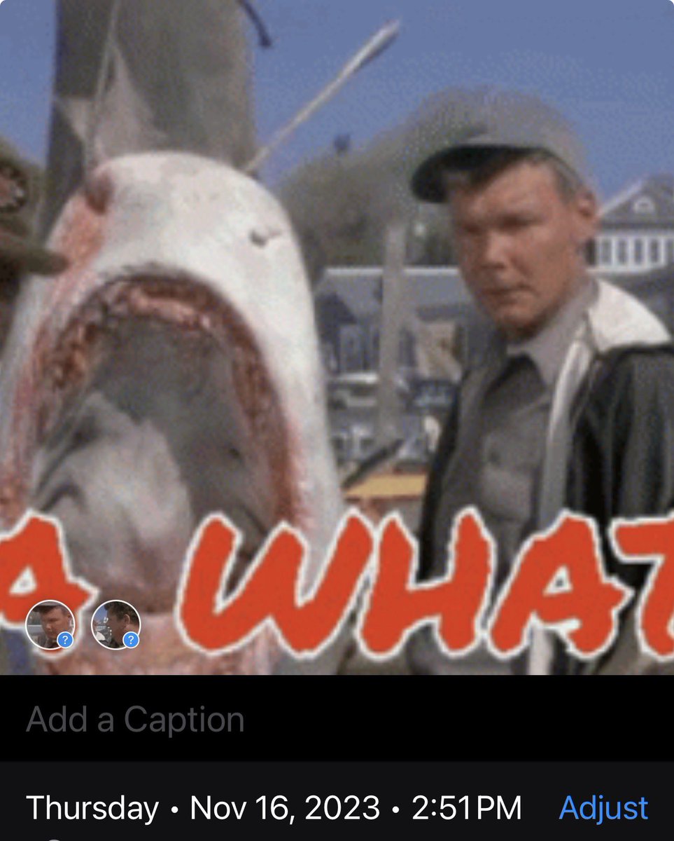 The Rubber Duck ™ tweet media