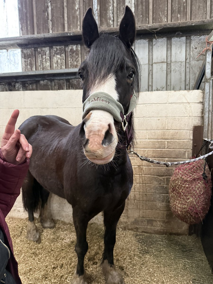 Seren my beautiful girl