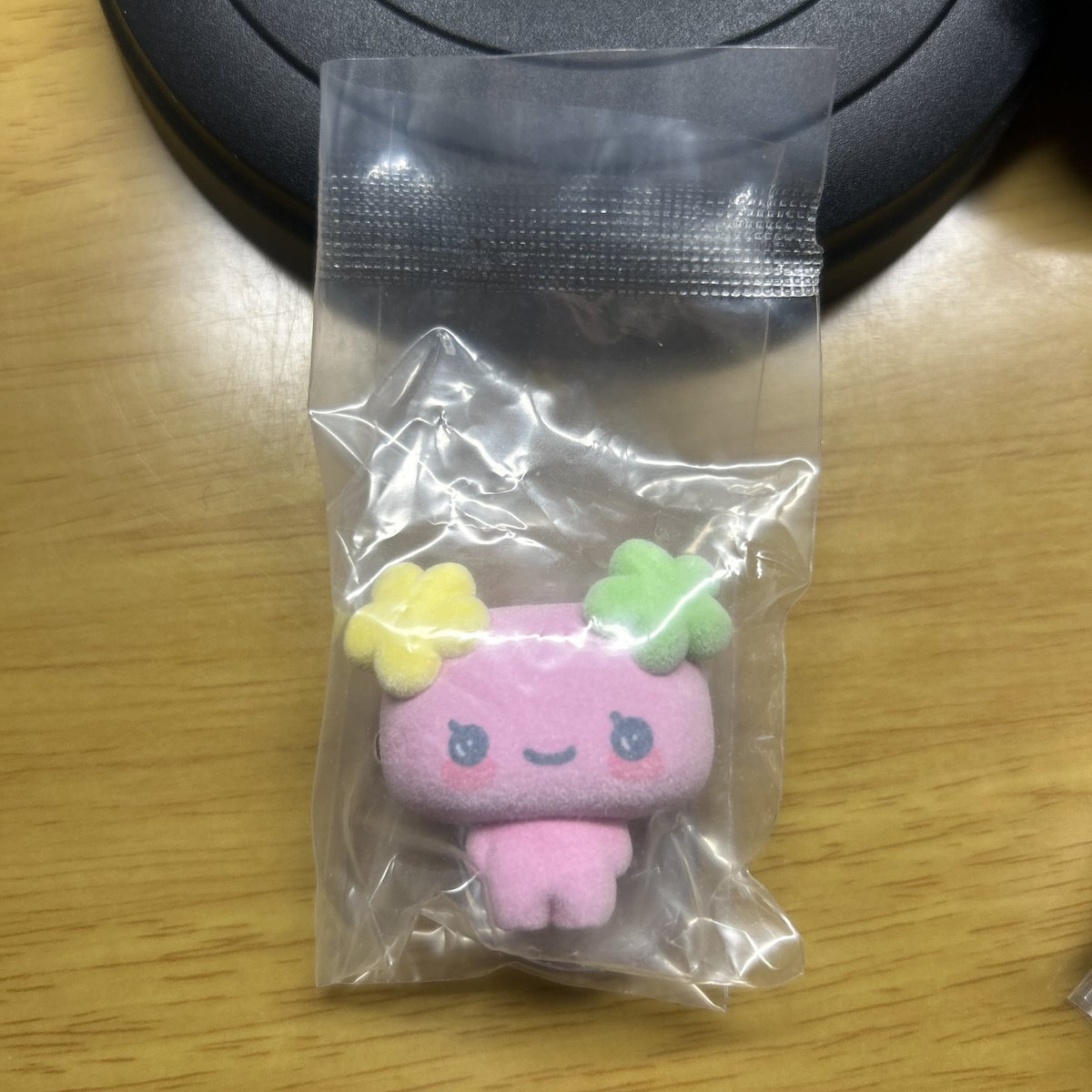 まーちゃ tweet media