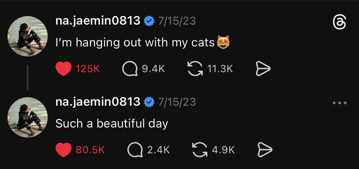 noah 🪽 tweet media