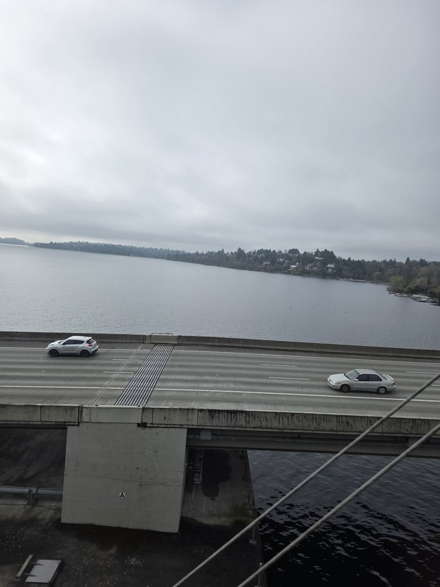 Sage Elliott tweet media