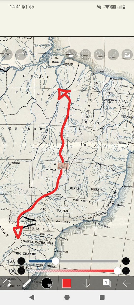 O Futuro Rei dos Piratas tweet media