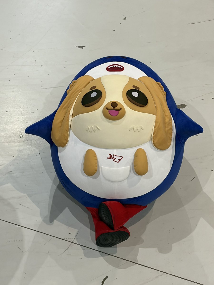 มอมินโนมอมีน 🐶ྀི tweet media