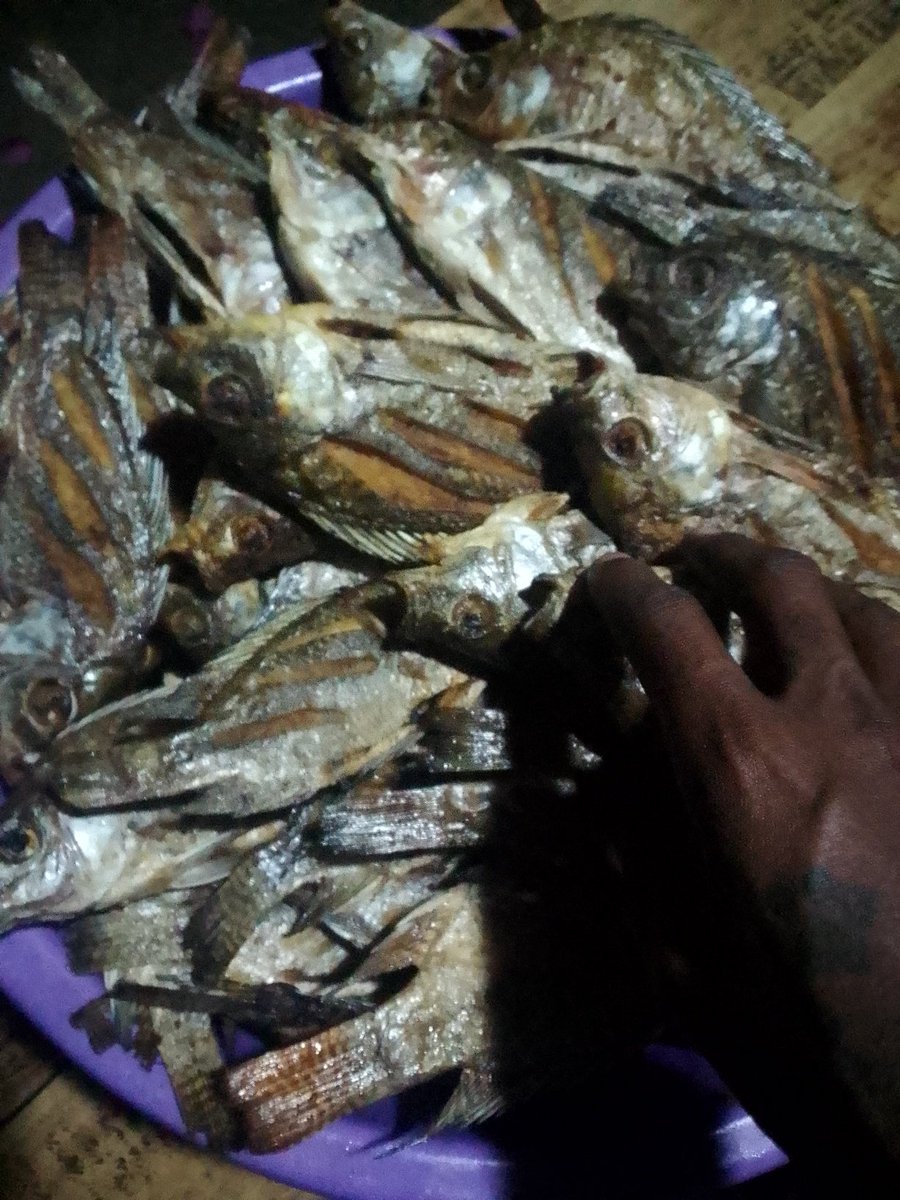 Maverick Aoko tweet media