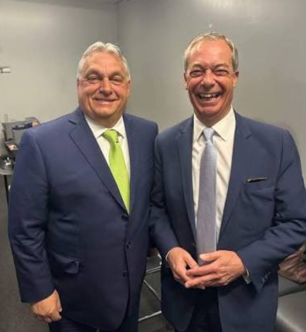 Parody Nigel Farage tweet media