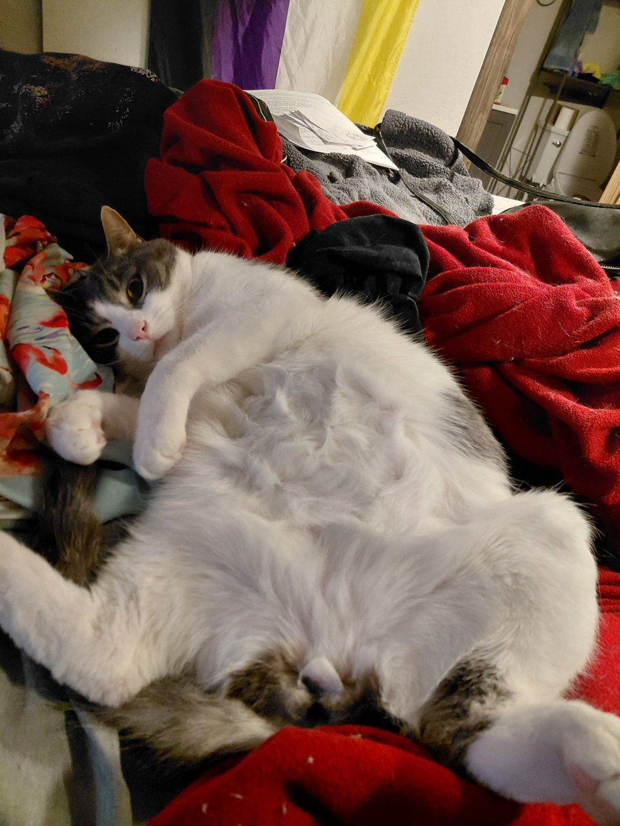 Skrungus and Daisy Incorporated (ft Smoky) tweet media