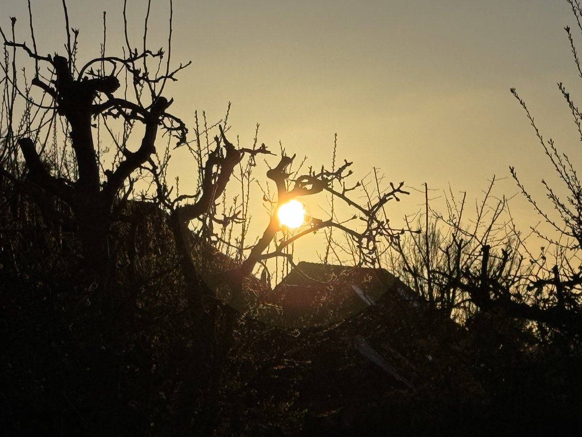 funnyson tweet media