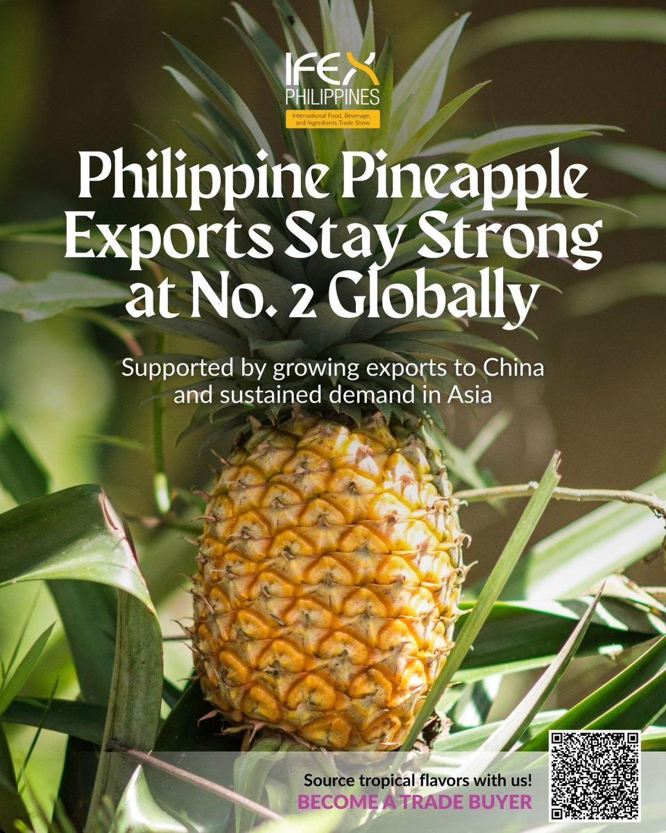 DTILosAngeles's tweet photo. 🇵🇭 PH retains #2 spot as world's top pineapple exporter in 2025! 📈 Exports hit 775K MT (+14% YoY), led by China (+19%). Strong demand for MD2 from Mindanao amid Costa Rica supply issues. https://t.co/N71gBUQUG9