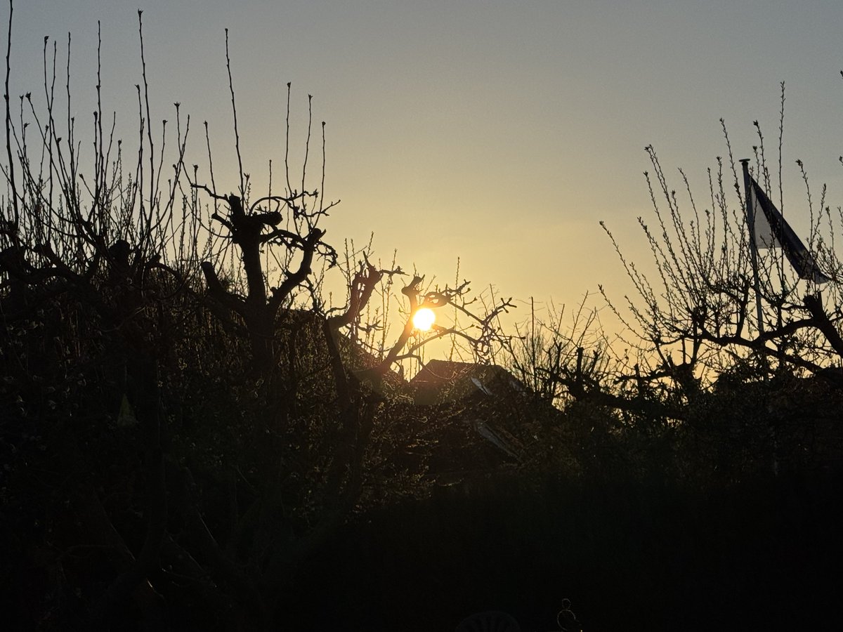 funnyson tweet media