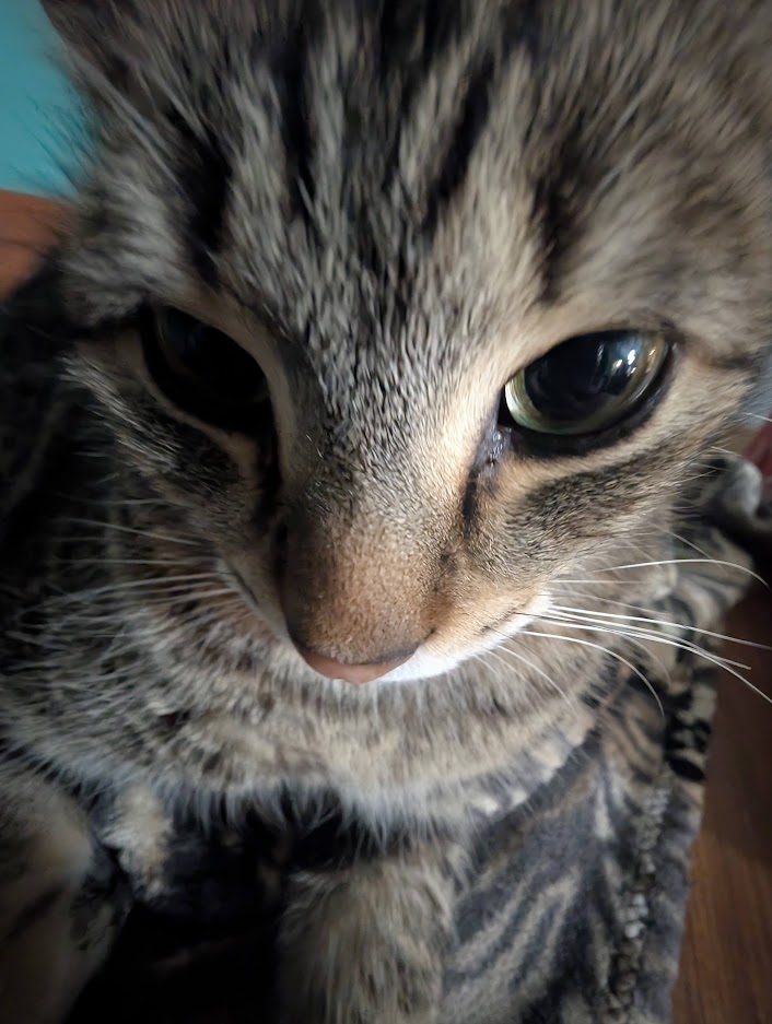 [archer] tweet media