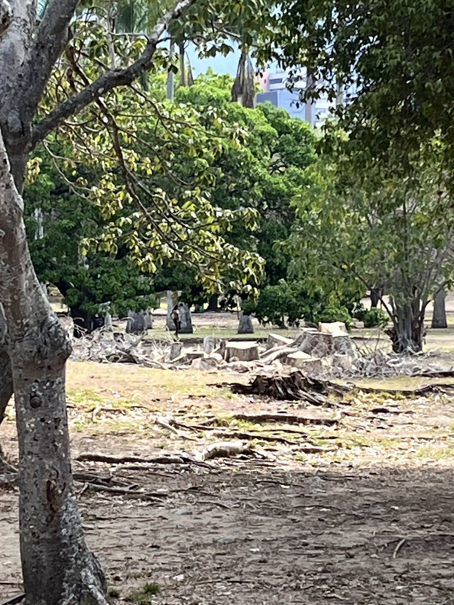 Maria Gabriela Escovar tweet media