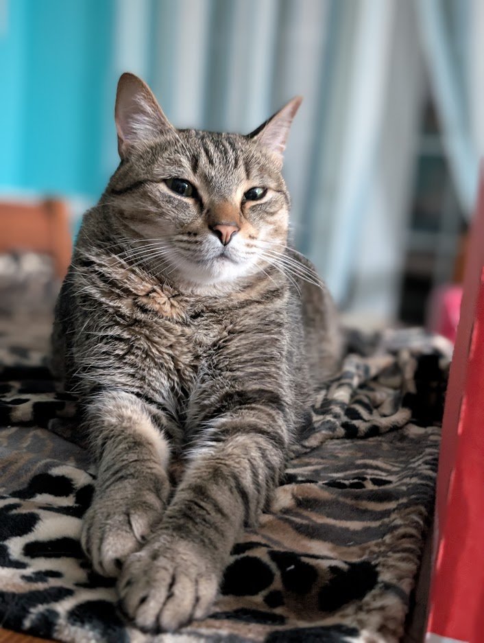 [archer] tweet media