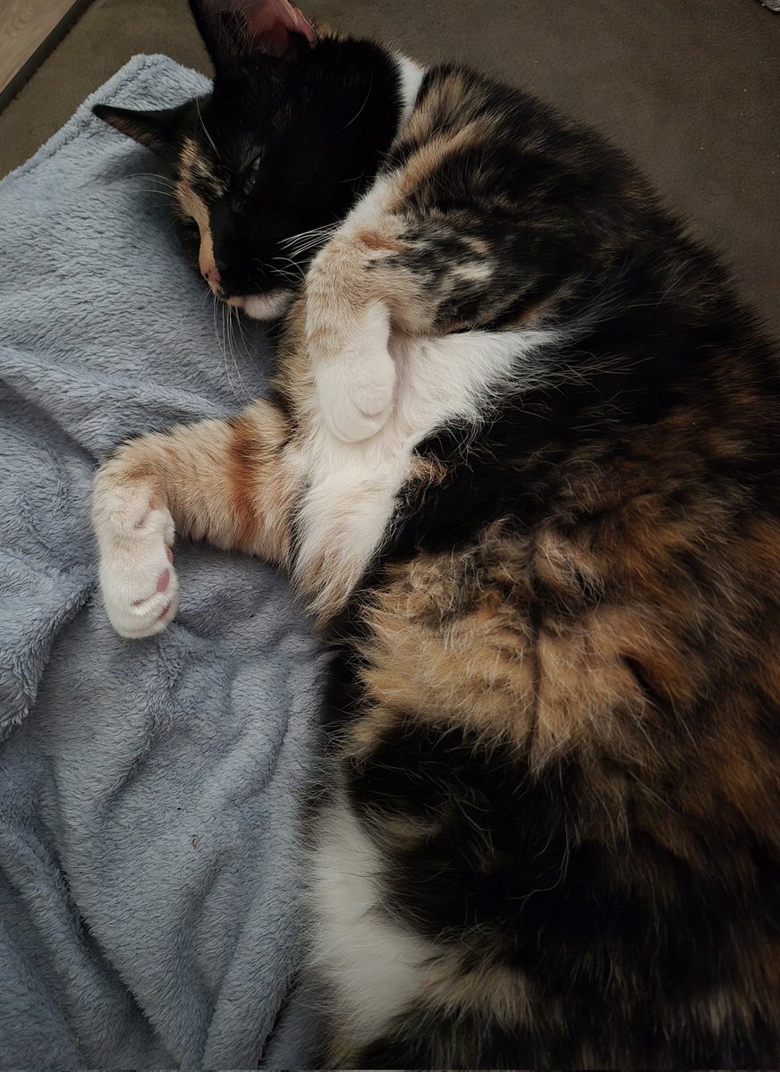 Marieke 🇪🇺 🇬🇱 tweet media