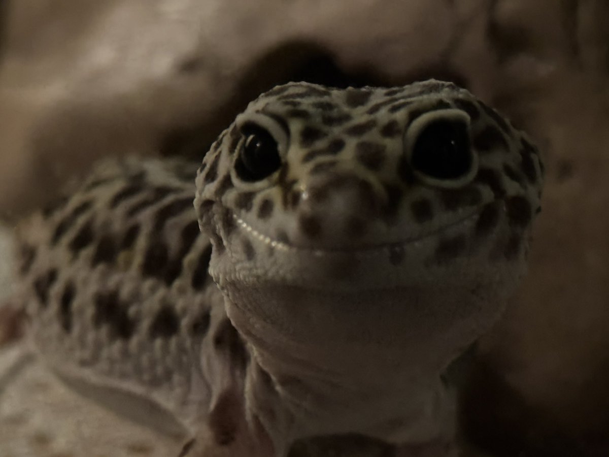 Ren ❤️‍🔥 tweet media