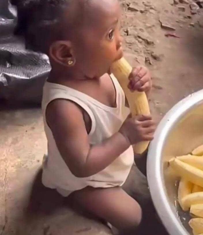 𝐀𝐤𝐚𝐳𝐞𝐞𝐢 𝐤𝐨𝐤𝐮𝐤𝐲𝐚𝐚𝐥𝐨® tweet media