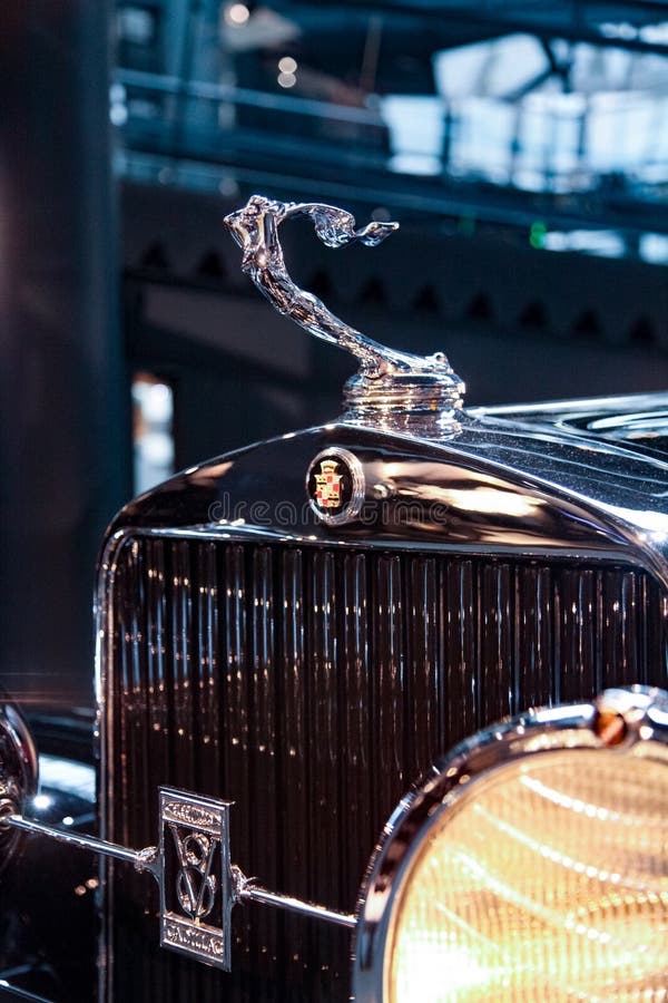 squirrel-there tweet media