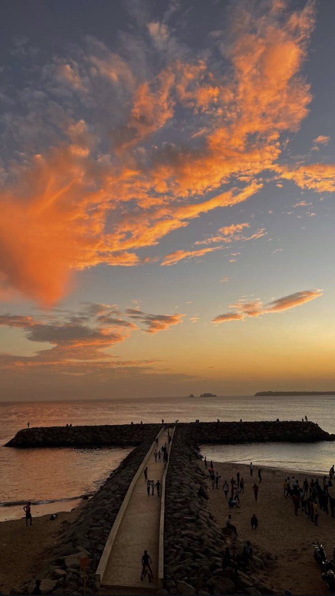 عبد الله 🇸🇳⭐️⭐️ tweet media